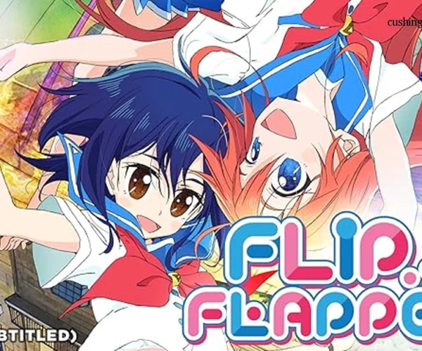 Flip Flappers