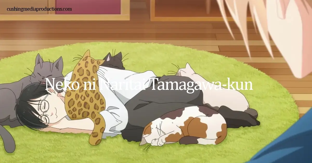 Neko ni Naritai Tamagawa-kun