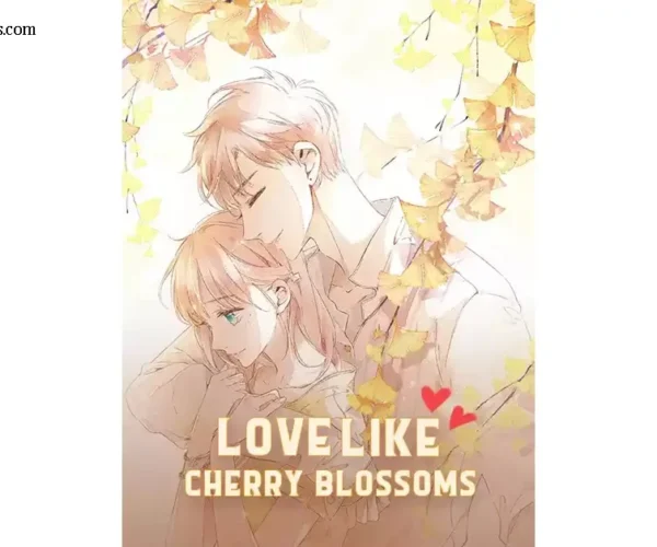 Love Like Cherry Blossoms